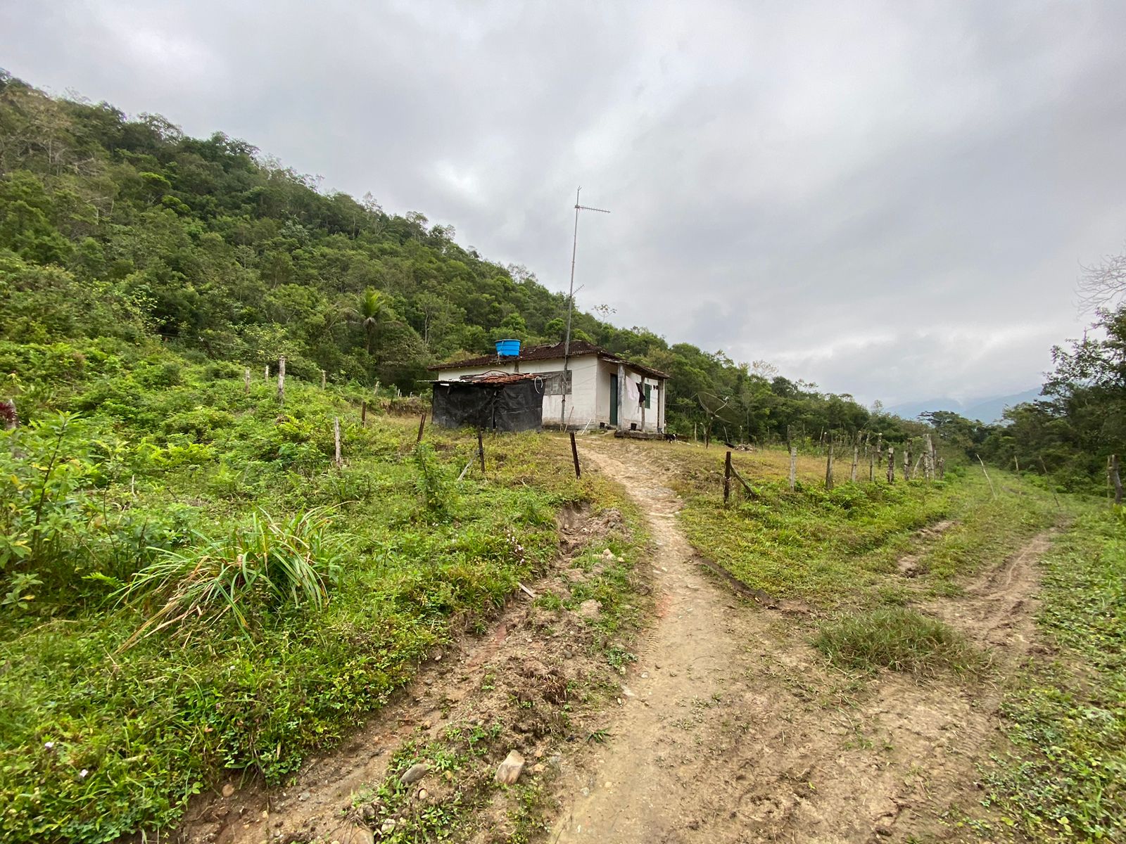 FAZENDA EM ITANHAÉM - ITANHAÉM/SP - 18KM DO ASFALTO - foto 10