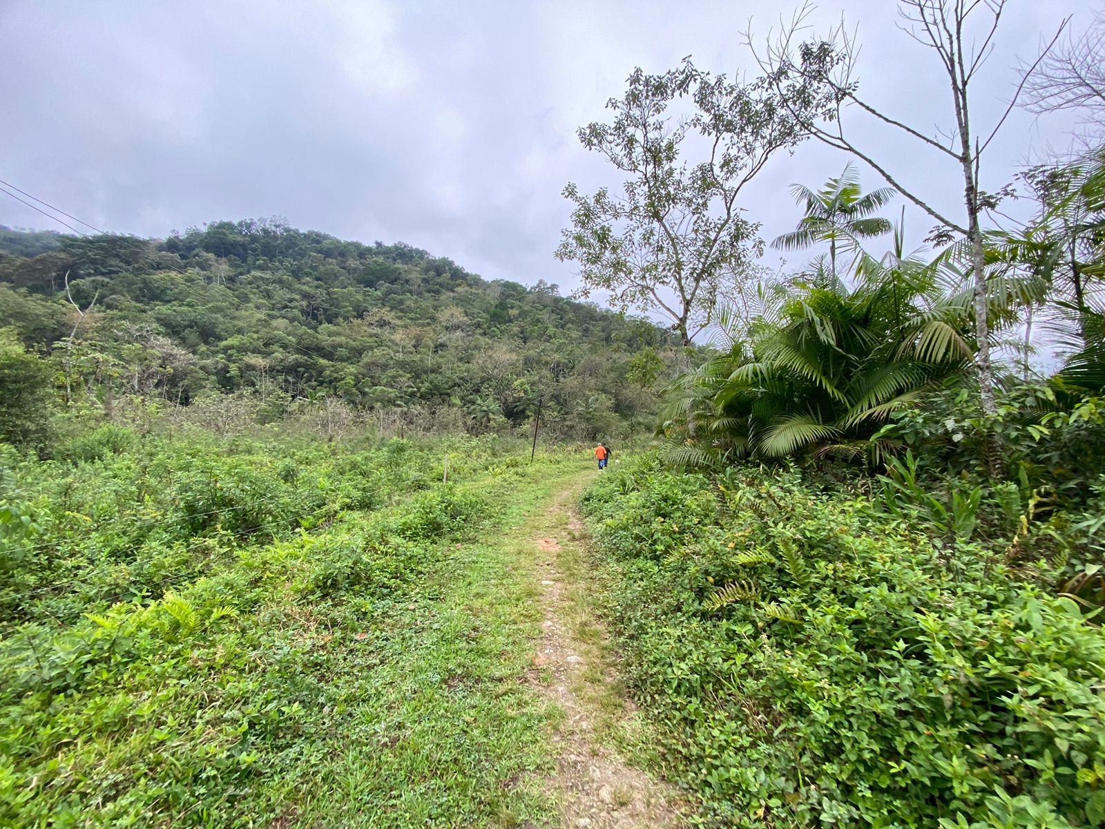 FAZENDA EM ITANHAÉM - ITANHAÉM/SP - 18KM DO ASFALTO - foto 17
