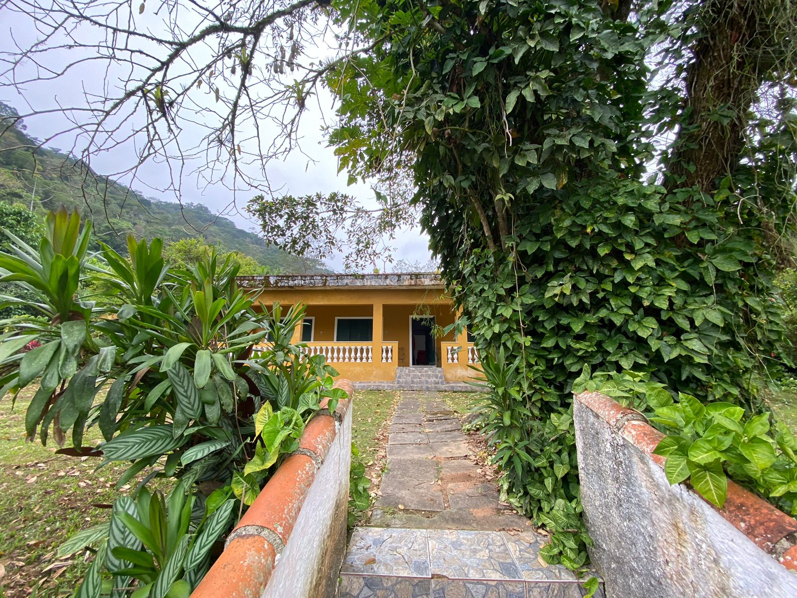 FAZENDA EM ITANHAÉM - ITANHAÉM/SP - 18KM DO ASFALTO - foto 14