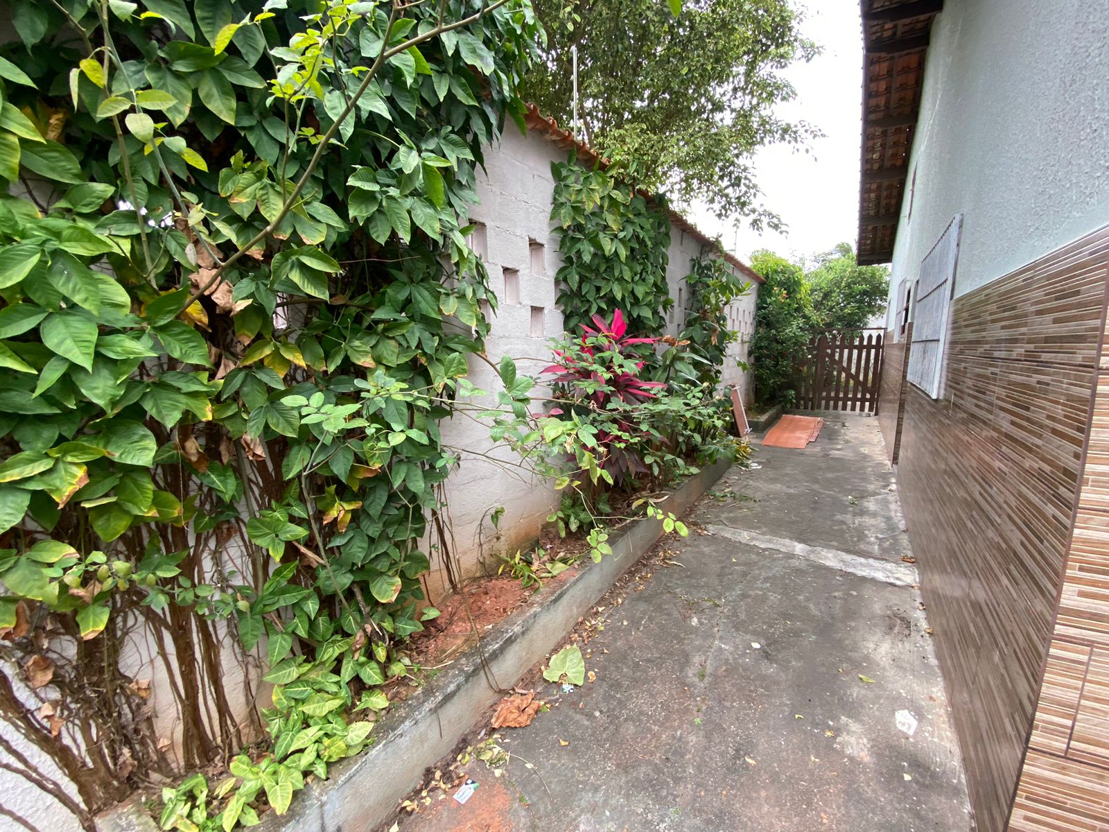 CASA NO JARDIM DAS PALMEIRAS 2 - LADO PRAIA À 800 M DO MAR - ITANHAÉM/SP - foto 9
