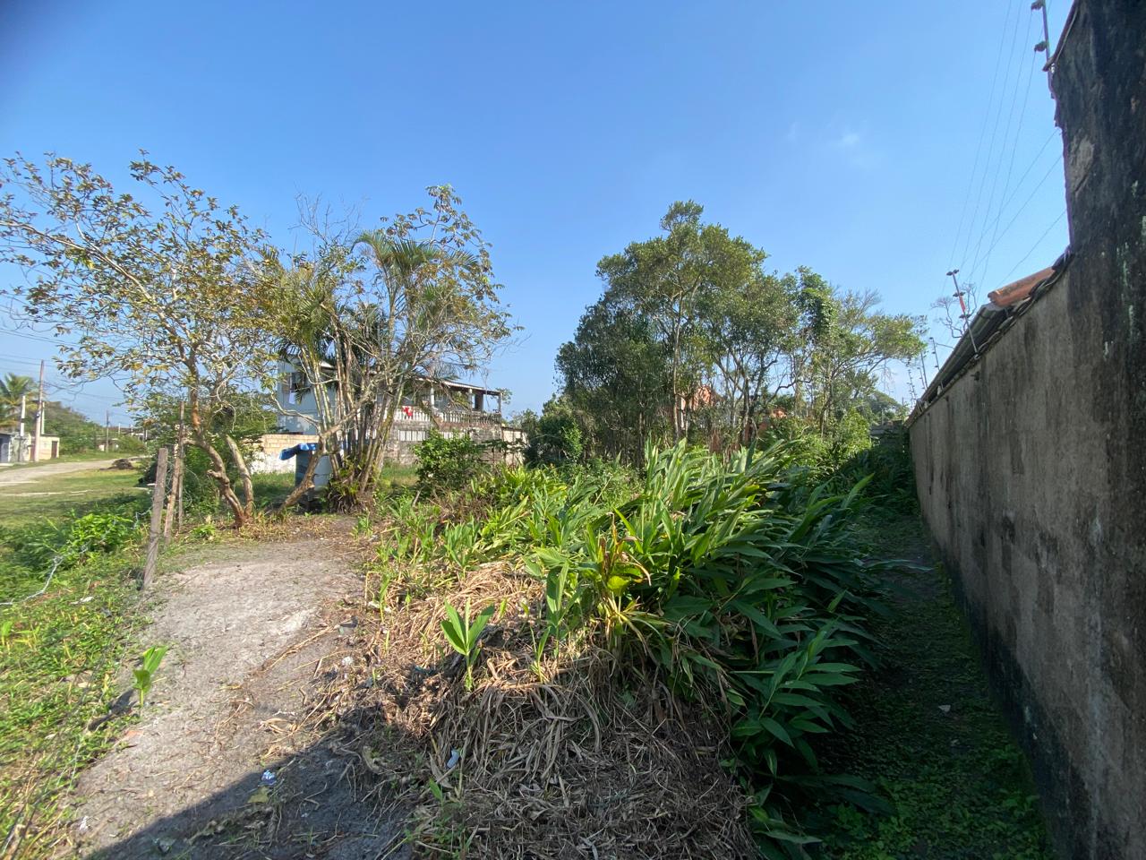 TERRENO LADO PRAIA - ITANHAÉM/SP - JD. DAS PALMEIRAS - foto 2