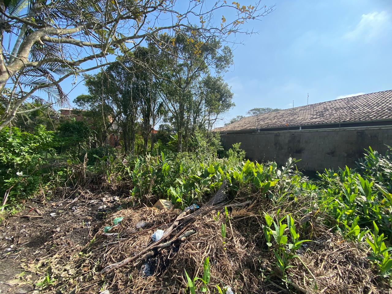 TERRENO LADO PRAIA - ITANHAÉM/SP - JD. DAS PALMEIRAS - foto 3