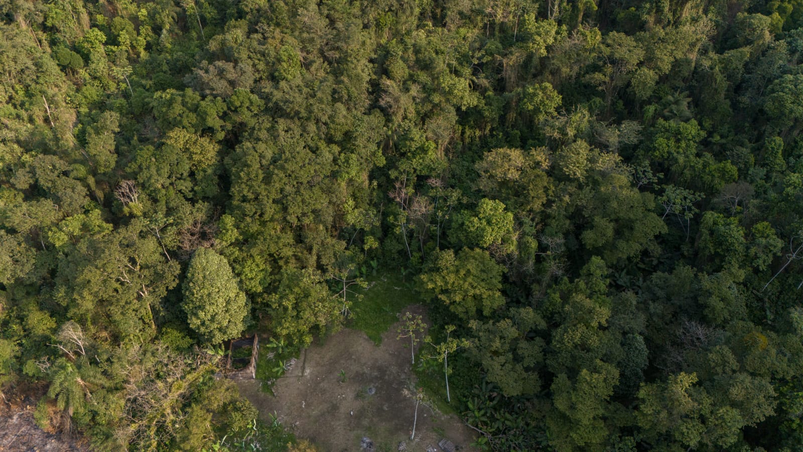 FAZENDA NO BAIRRO MAMBU - LADO MORRO À 4 KM DA RODOVIA - ITANHAÉM/SP - foto 4