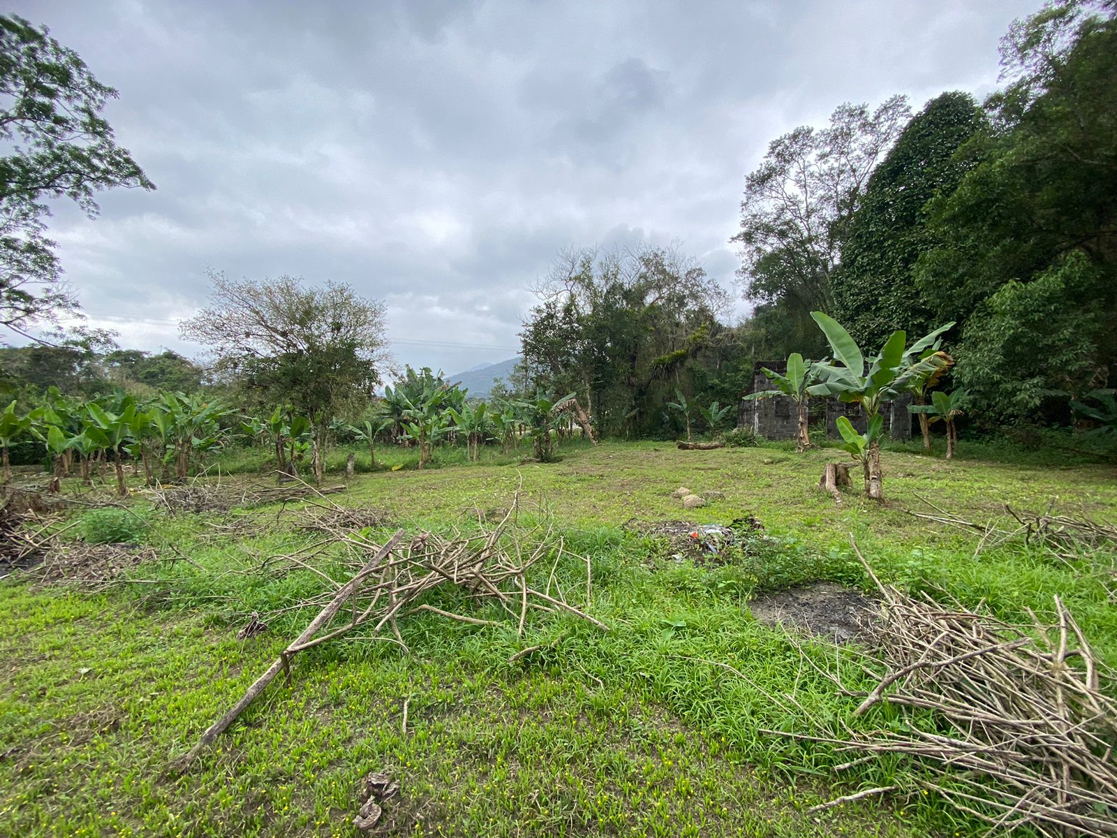 FAZENDA NO BAIRRO MAMBU - LADO MORRO À 4 KM DA RODOVIA - ITANHAÉM/SP - foto 10