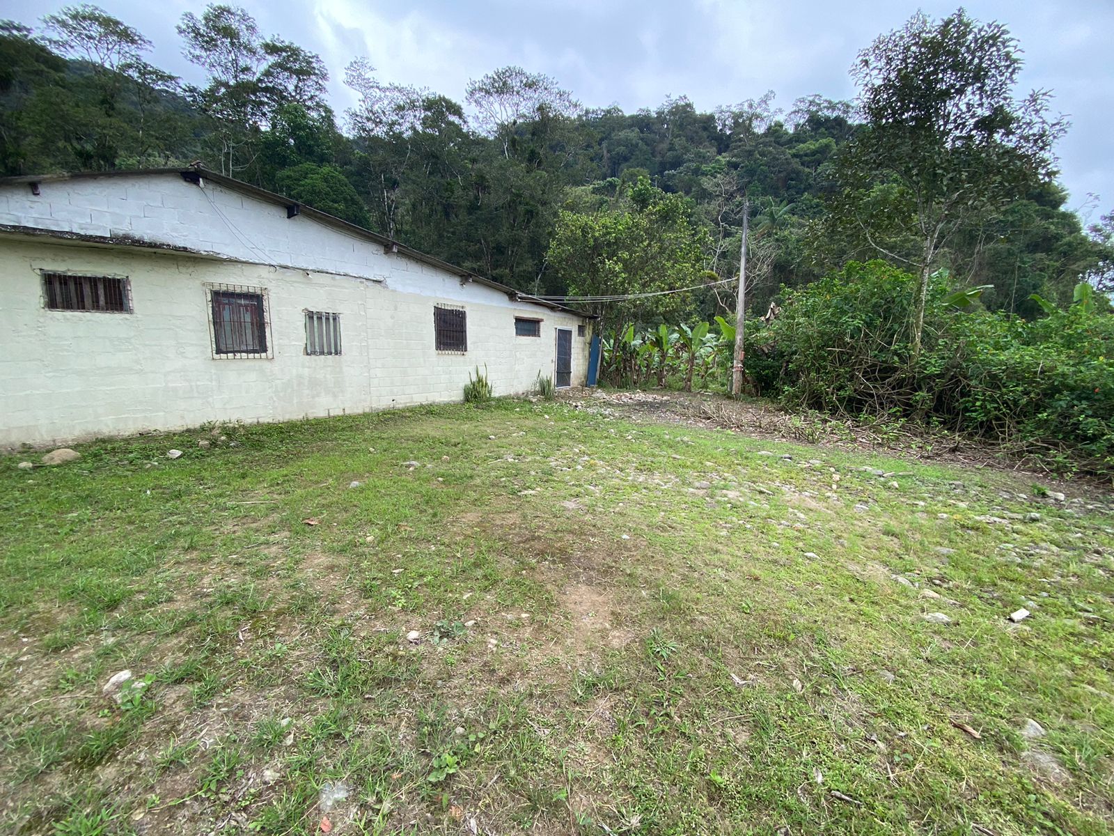 FAZENDA NO BAIRRO MAMBU - LADO MORRO À 4 KM DA RODOVIA - ITANHAÉM/SP - foto 6