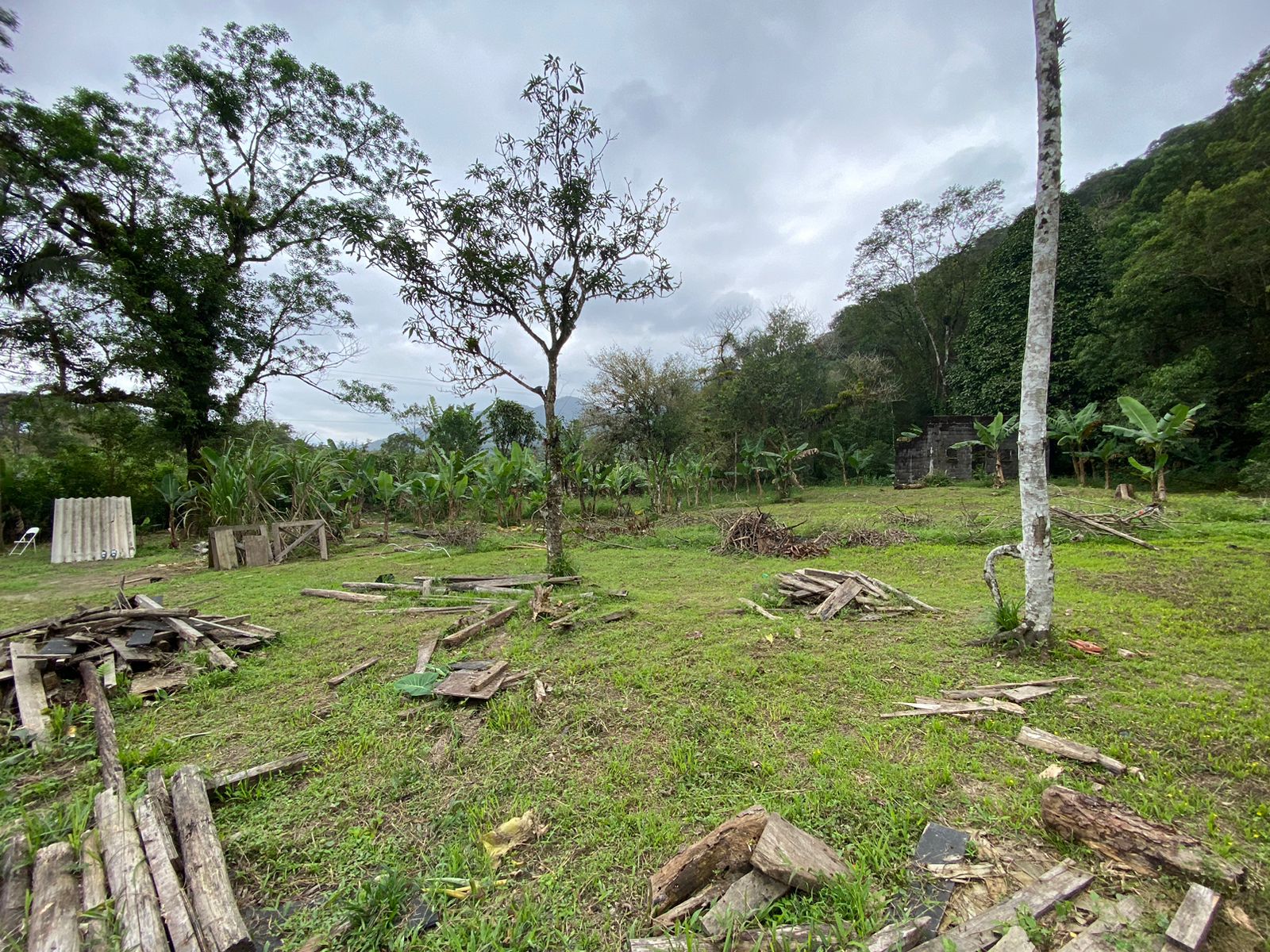 FAZENDA NO BAIRRO MAMBU - LADO MORRO À 4 KM DA RODOVIA - ITANHAÉM/SP - foto 11