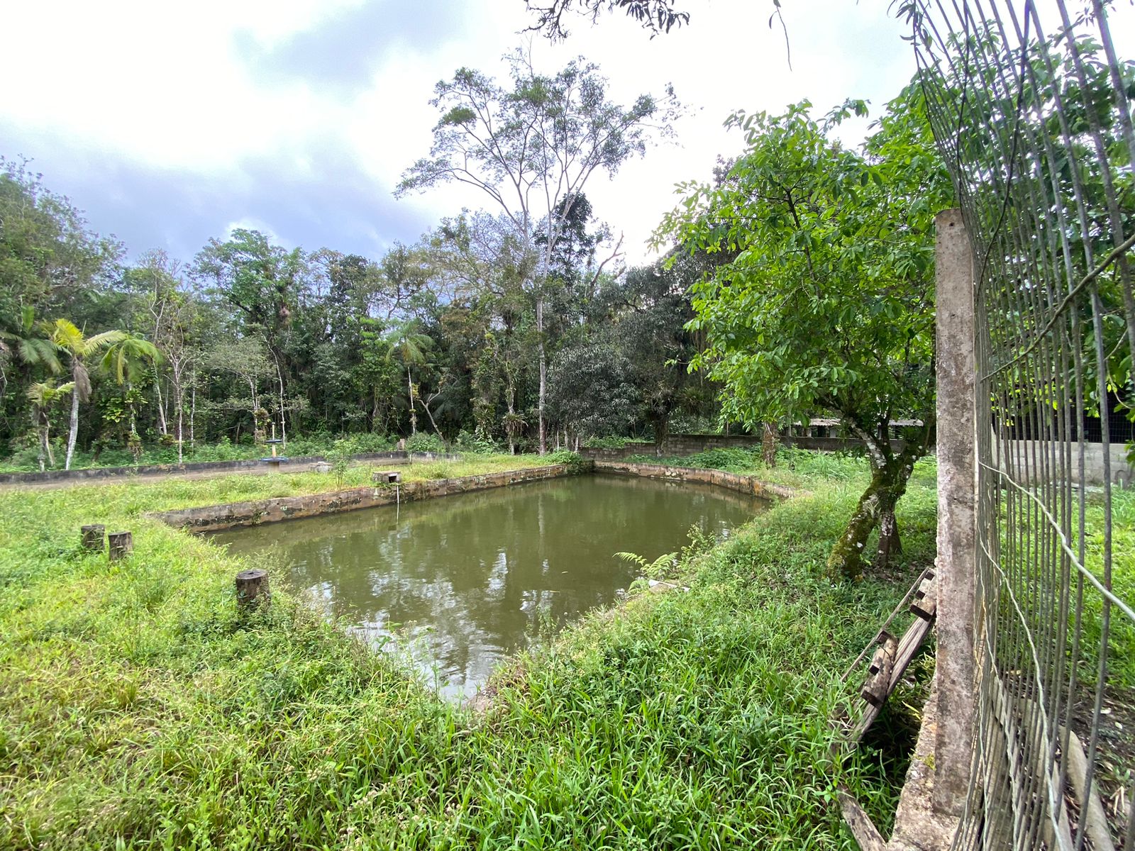 SÍTIO NO RIO PRETO - LADO MORRO - À 8KM DA RODOVIA -  ITANHAÉM/SP - foto 4