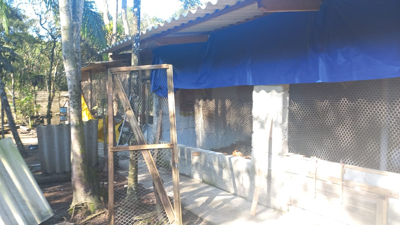 CHÁCARA EM EXCELENTE LOCALIZAÇÃO - ITANHAÉM/SP - 2200 M DA PRAIA  - foto 11