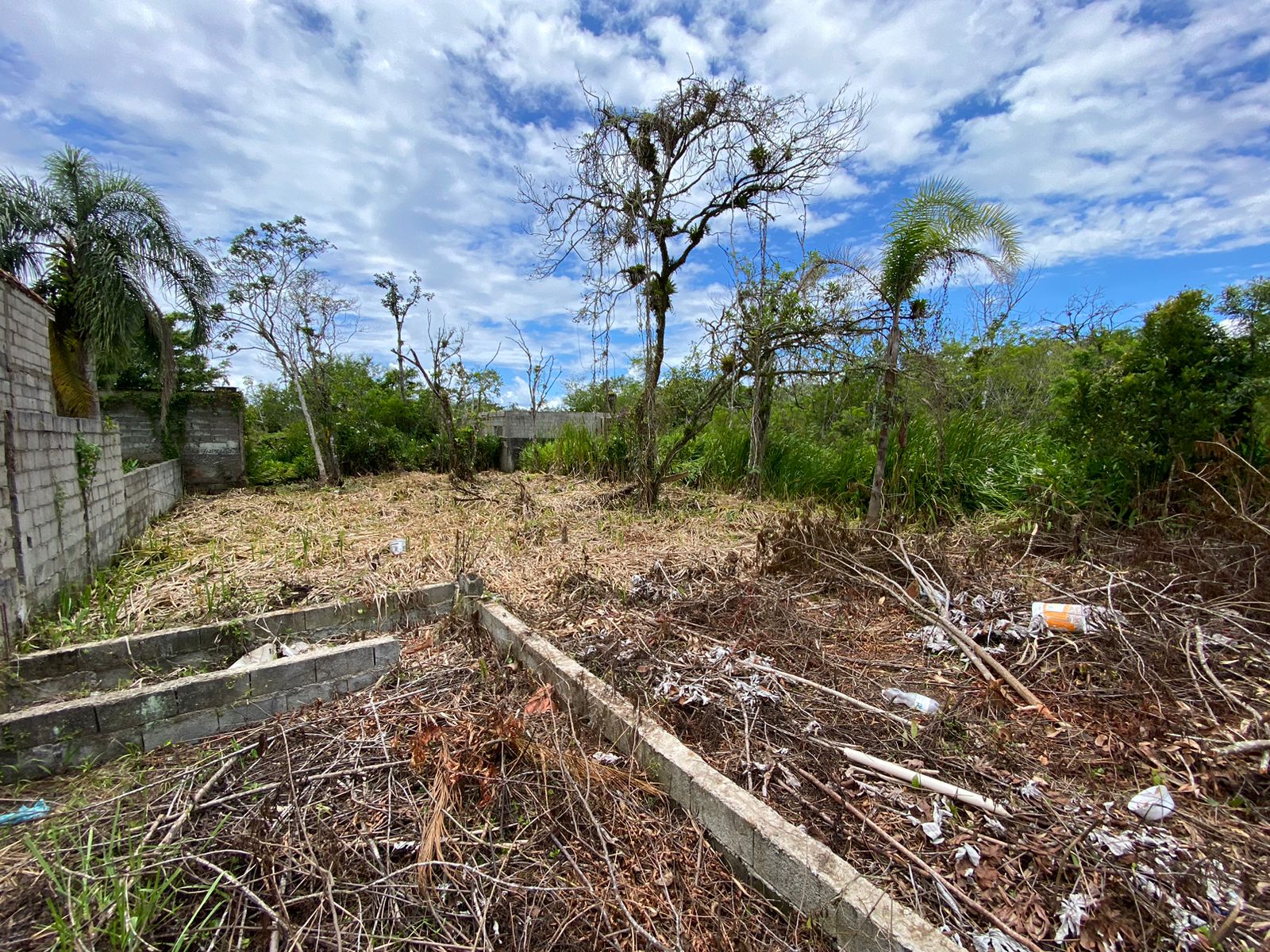 TERRENO NO LUIZAMAR MIRIM - LADO MORRO À 550 METROS DA RODOVIA - ITANHAÉM/SP - foto 3