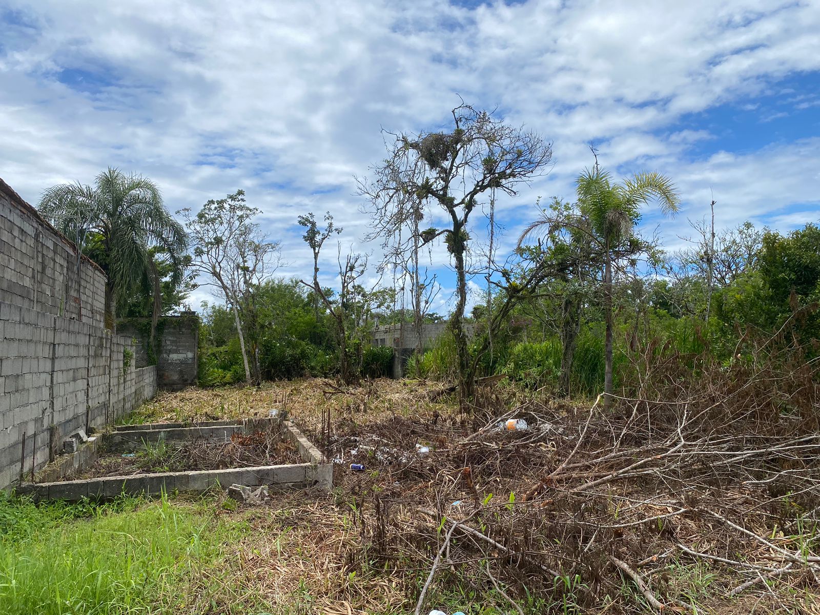 TERRENO NO LUIZAMAR MIRIM - LADO MORRO À 550 METROS DA RODOVIA - ITANHAÉM/SP - foto 4