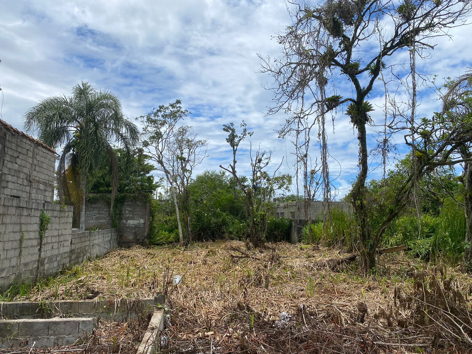 TERRENO NO LUIZAMAR MIRIM - LADO MORRO À 550 METROS DA RODOVIA - ITANHAÉM/SP - foto 5