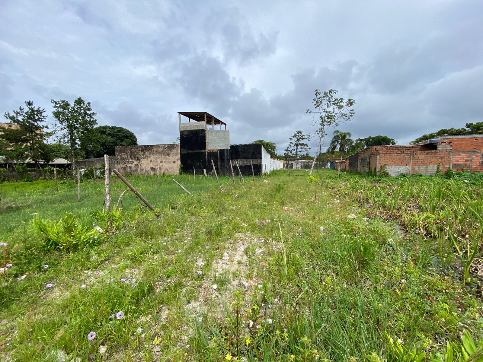 TERRENO JARDIM DAS PALMEIRAS - LADO MORRO À 200 METROS DA RODOVIA - ITANHAÉM/SP - foto 3