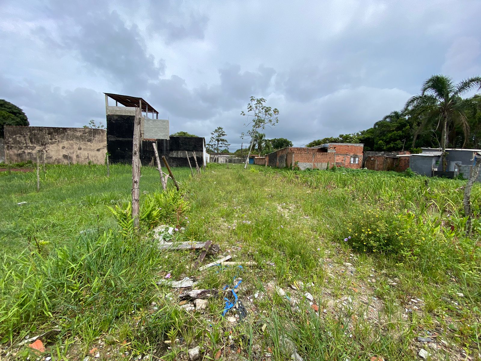 TERRENO JARDIM DAS PALMEIRAS - LADO MORRO À 200 METROS DA RODOVIA - ITANHAÉM/SP - foto 5