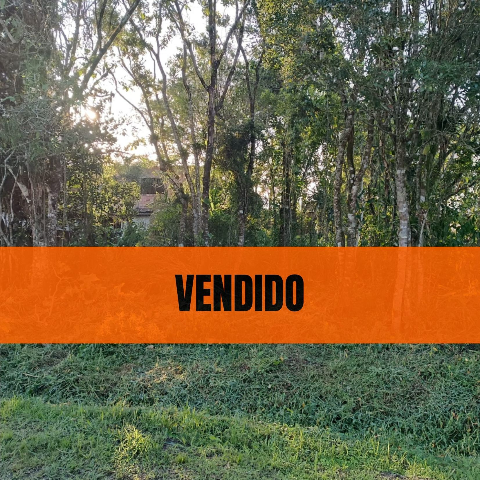 TERRENO NO BALNEÁRIO GAIVOTA - ITANHAÉM /SP - LADO MORRO - 700 METROS DA RODOVIA