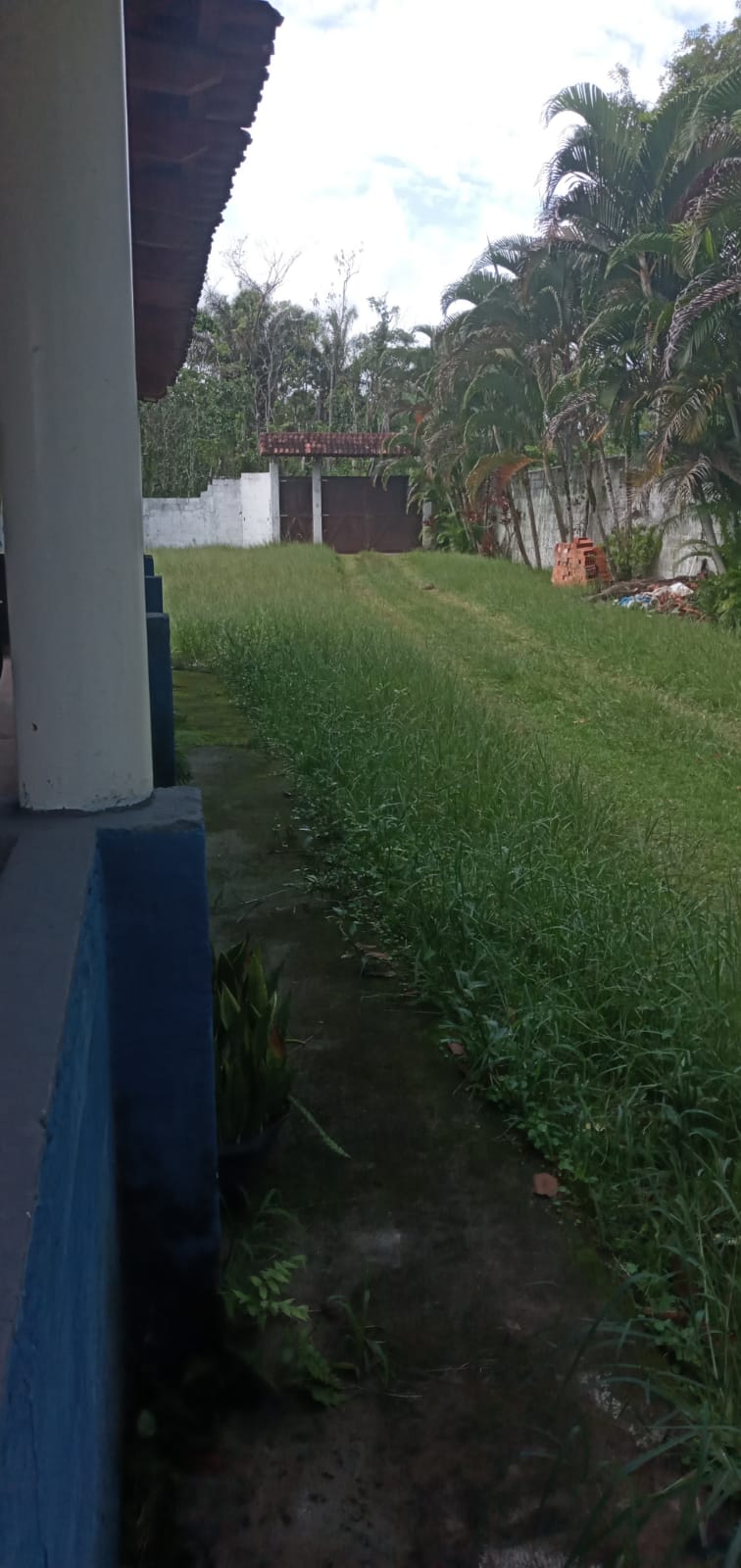 CHÁCARA EM PERUÍBE - LITORAL SUL DE SÃO PAULO - LADO MORRO À 11KM DA PRAIA - foto 9