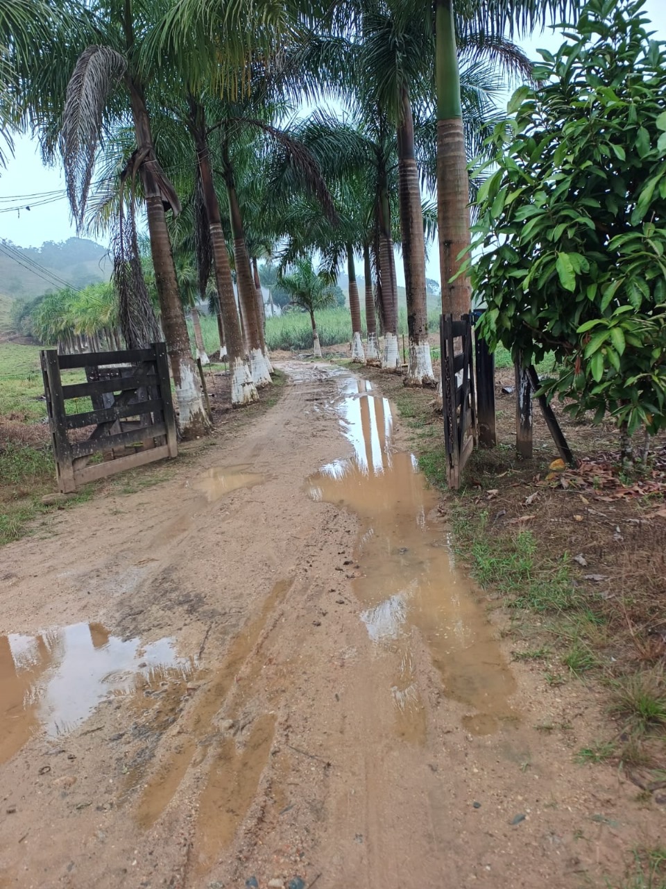 FAZENDA NA CIDADE DE SETE BARRAS - VALE DO RIBEIRA - 5KM DO ASFALTO - foto 3