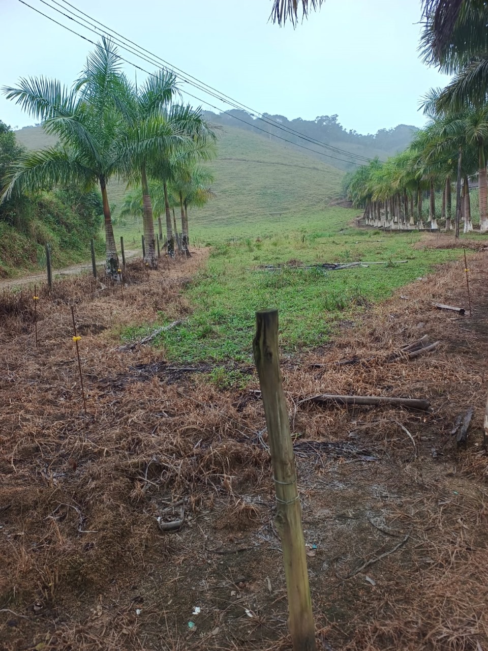 FAZENDA NA CIDADE DE SETE BARRAS - VALE DO RIBEIRA - 5KM DO ASFALTO - foto 17