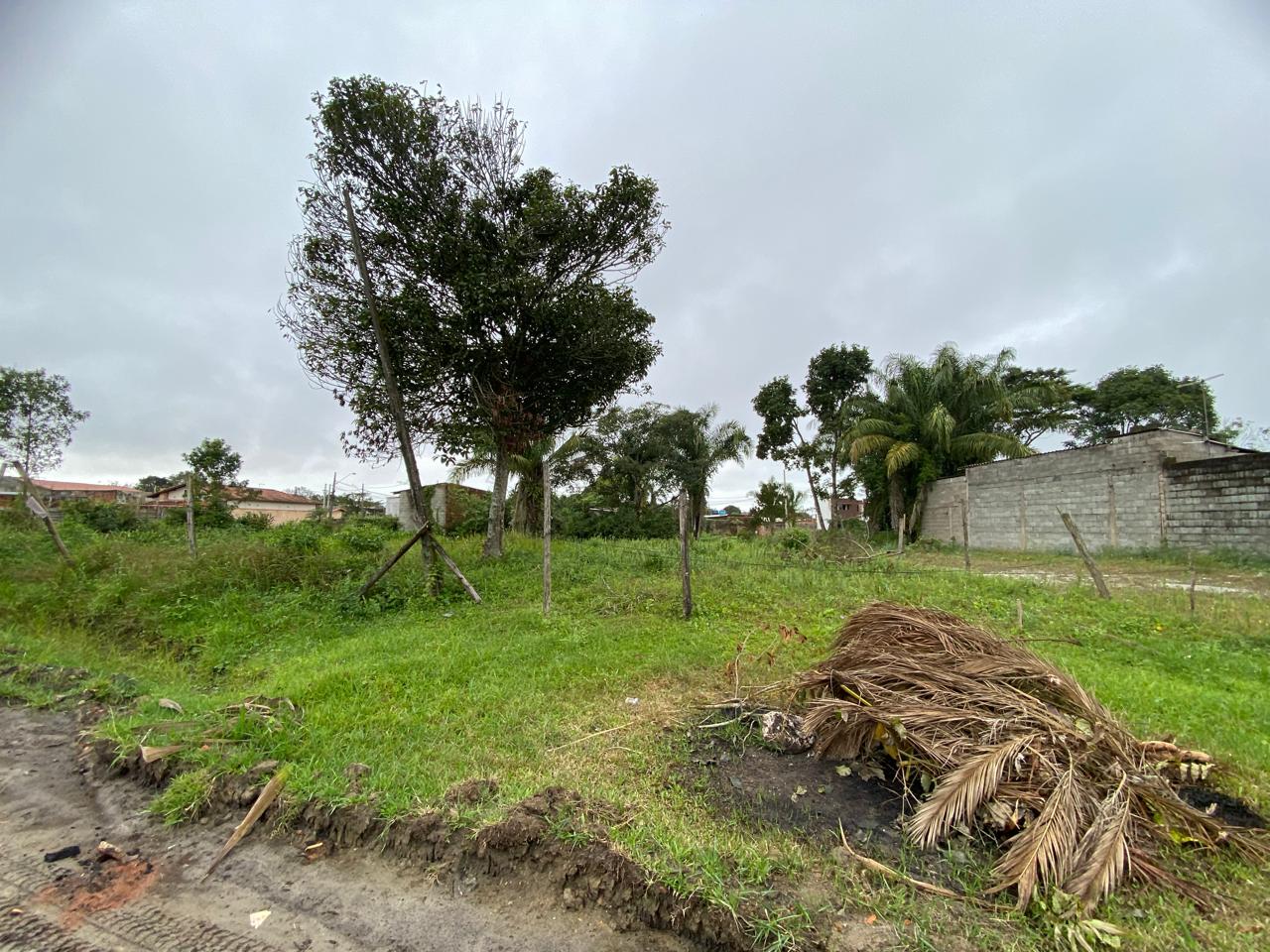 TERRENO COM LIBERAÇÃO AMBIENTAL - NO JD DAS PAMLEIRAS  - ITANHAÉM / SÃO PAULO - LADO PRAIA - 1.200 METROS DO MAR