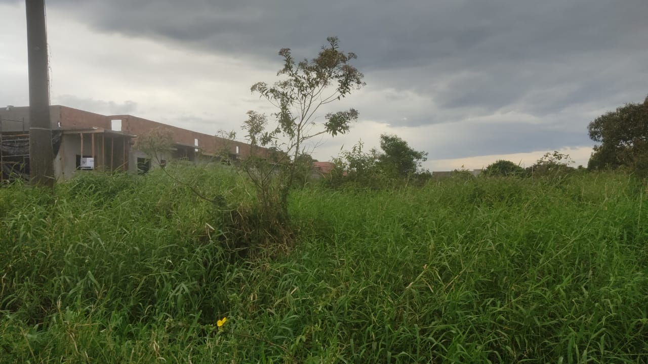 TERRENO COM LIBERAÇÃO AMBIENTAL NO BAIRRO CIBRATEL 2 - ITANHAÉM / SÃO PAULO - LADO PRAIA - 800 METROS DO MAR - foto 3