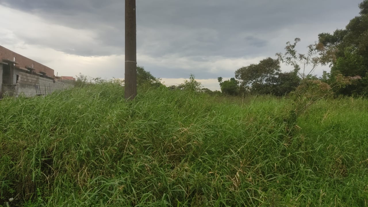 TERRENO COM LIBERAÇÃO AMBIENTAL NO BAIRRO CIBRATEL 2 - ITANHAÉM / SÃO PAULO - LADO PRAIA - 800 METROS DO MAR - foto 5