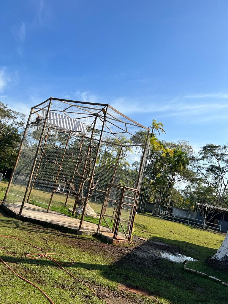CHÁCARA EM PERUIBE - LADO SERRA - foto 16