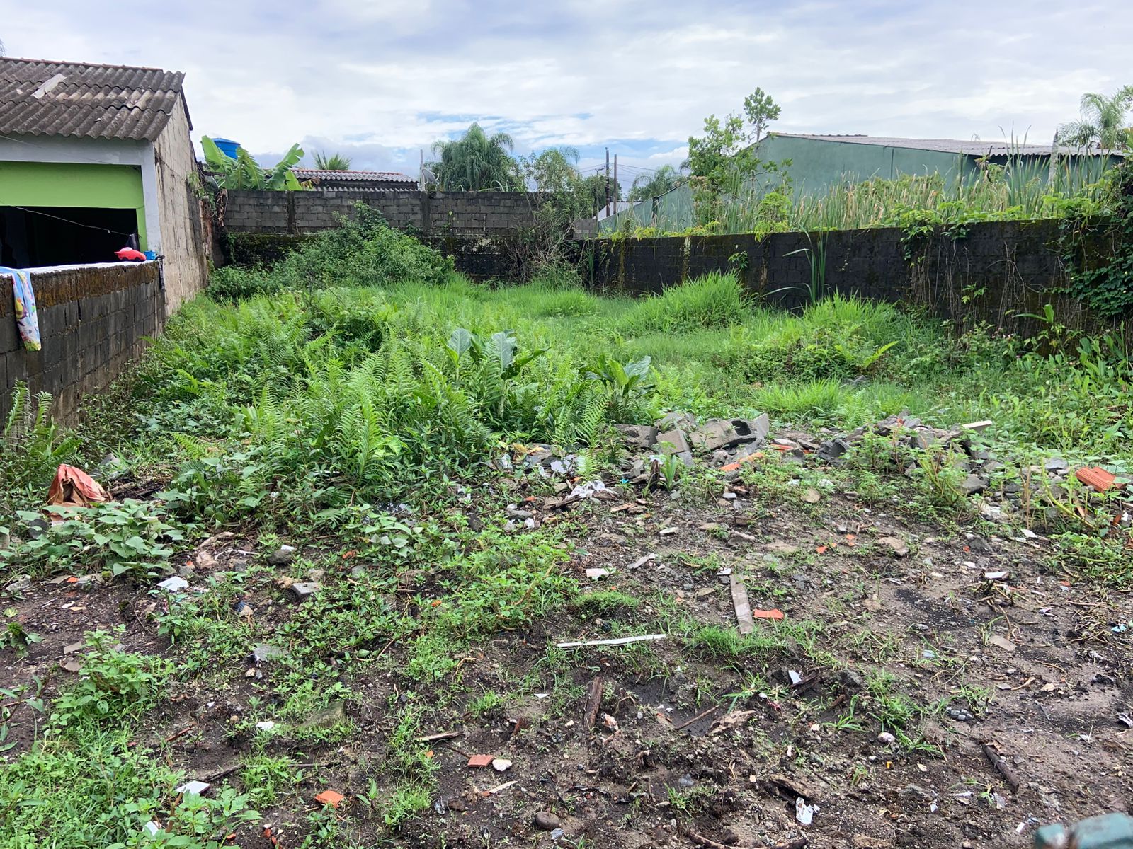 TERRENO COM LIBERAÇÃO AMBIENTAL NO JARDIM DAS PALMEIRAS - ITANHAÉM / SÃO PAULO - LADO PRAIA - 800 METROS DO MAR - foto 3