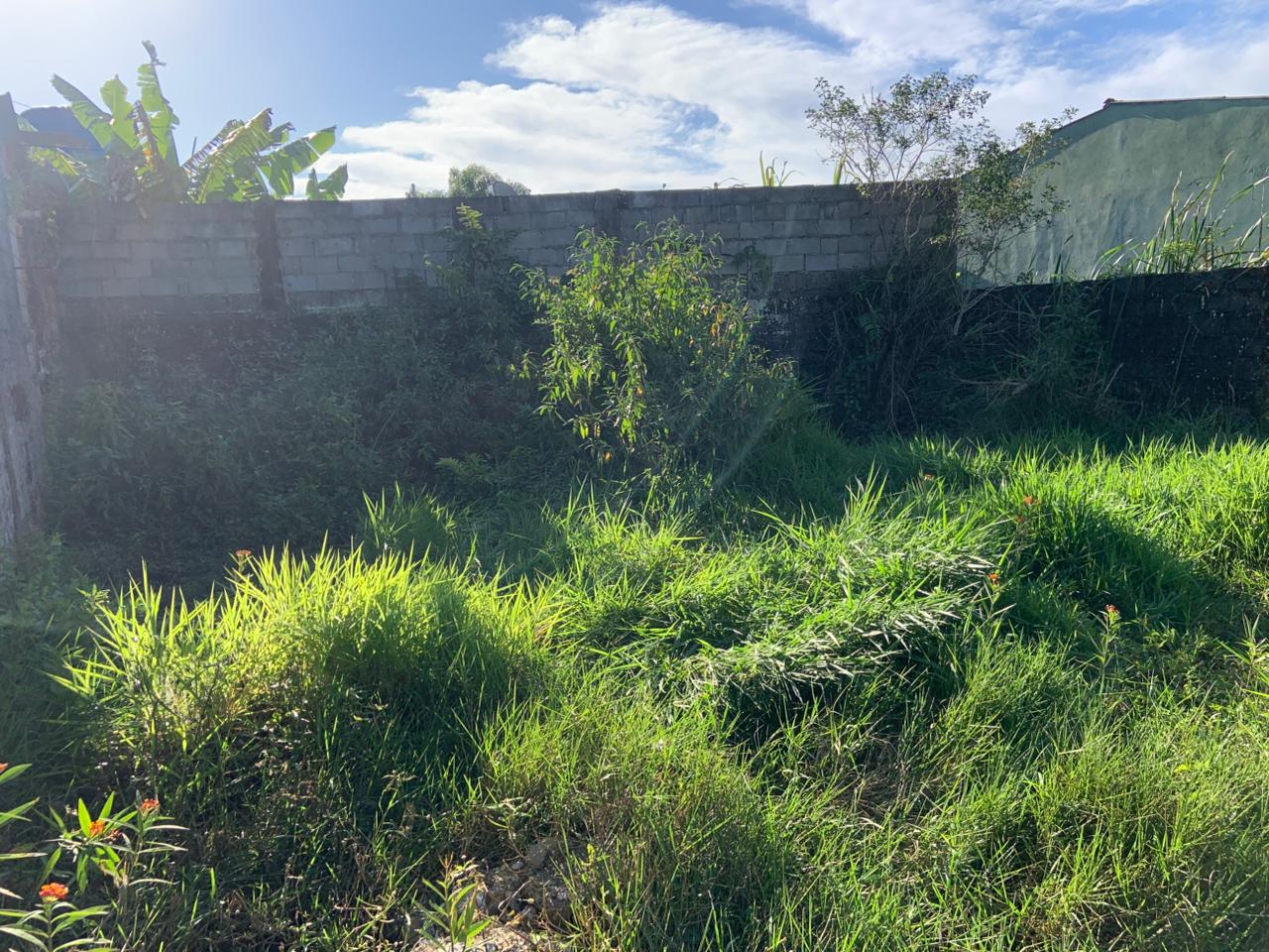 TERRENO COM LIBERAÇÃO AMBIENTAL NO JARDIM DAS PALMEIRAS - ITANHAÉM / SÃO PAULO - LADO PRAIA - 800 METROS DO MAR - foto 5