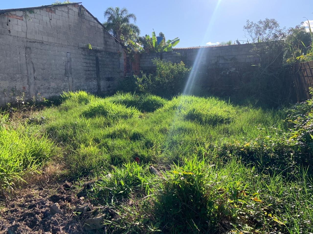 TERRENO COM LIBERAÇÃO AMBIENTAL NO JARDIM DAS PALMEIRAS - ITANHAÉM / SÃO PAULO - LADO PRAIA - 800 METROS DO MAR - foto 6