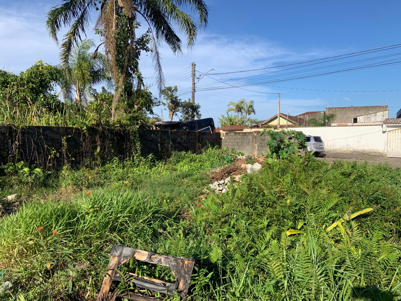 TERRENO COM LIBERAÇÃO AMBIENTAL NO JARDIM DAS PALMEIRAS - ITANHAÉM / SÃO PAULO - LADO PRAIA - 800 METROS DO MAR - foto 18