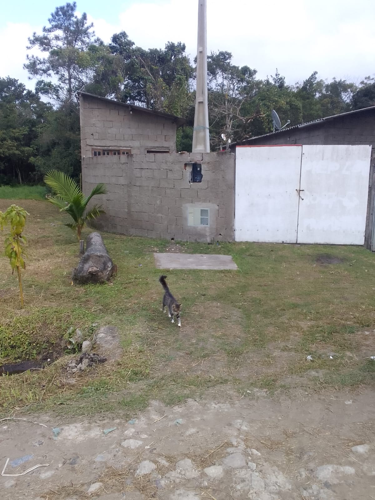 CASA EM MEIO LOTE NO JD. DIPLOMATA - LADO MORRO À 200 METROS DA RODOVIA - ITANHAÉM/SP - foto 2