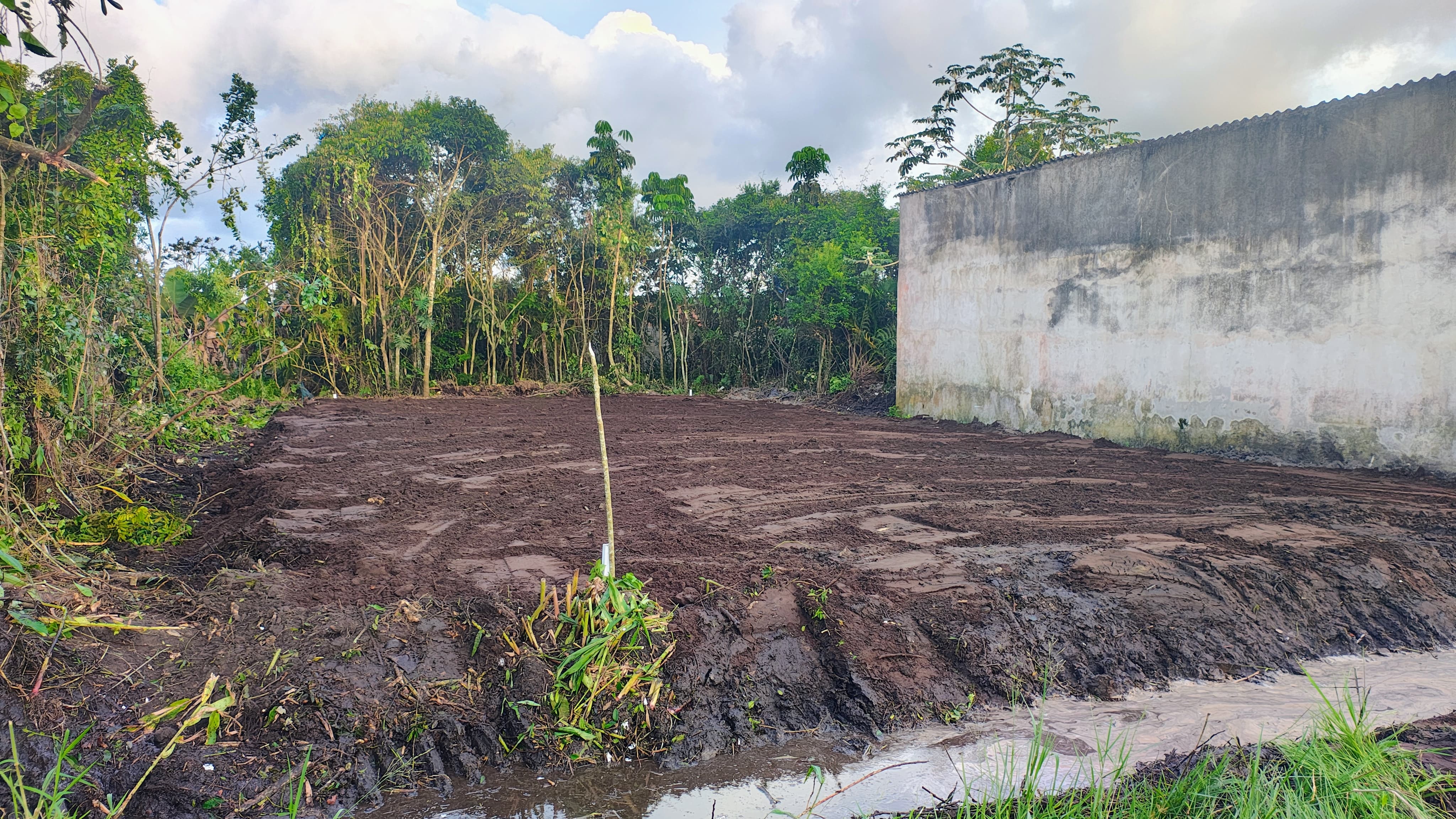 TERRENO COM LIBERAÇÃO AMBIENTAL NO BALNEÁRIO GAIVOTA - ITANHAÉM / SÃO PAULO - LADO MORRO - 800 METROS DA RODOVIA - foto 2
