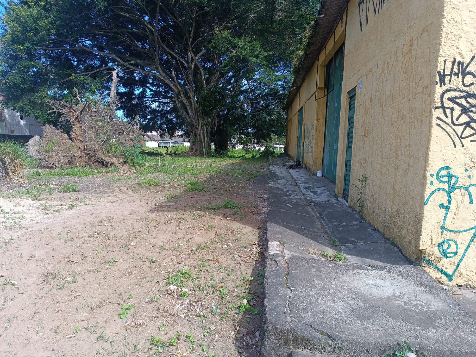 3 GALPÕES NO JARDIM SABAÚNA - ITANHAÉM - LADO PRAIA - 3 KM DO MAR - foto 11