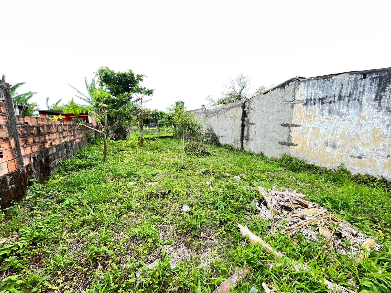 TERRENO NO JD. DAS PALMEIRAS / ITANHAÉM - LADO PRAIA - 1.000 METROS DO MAR
