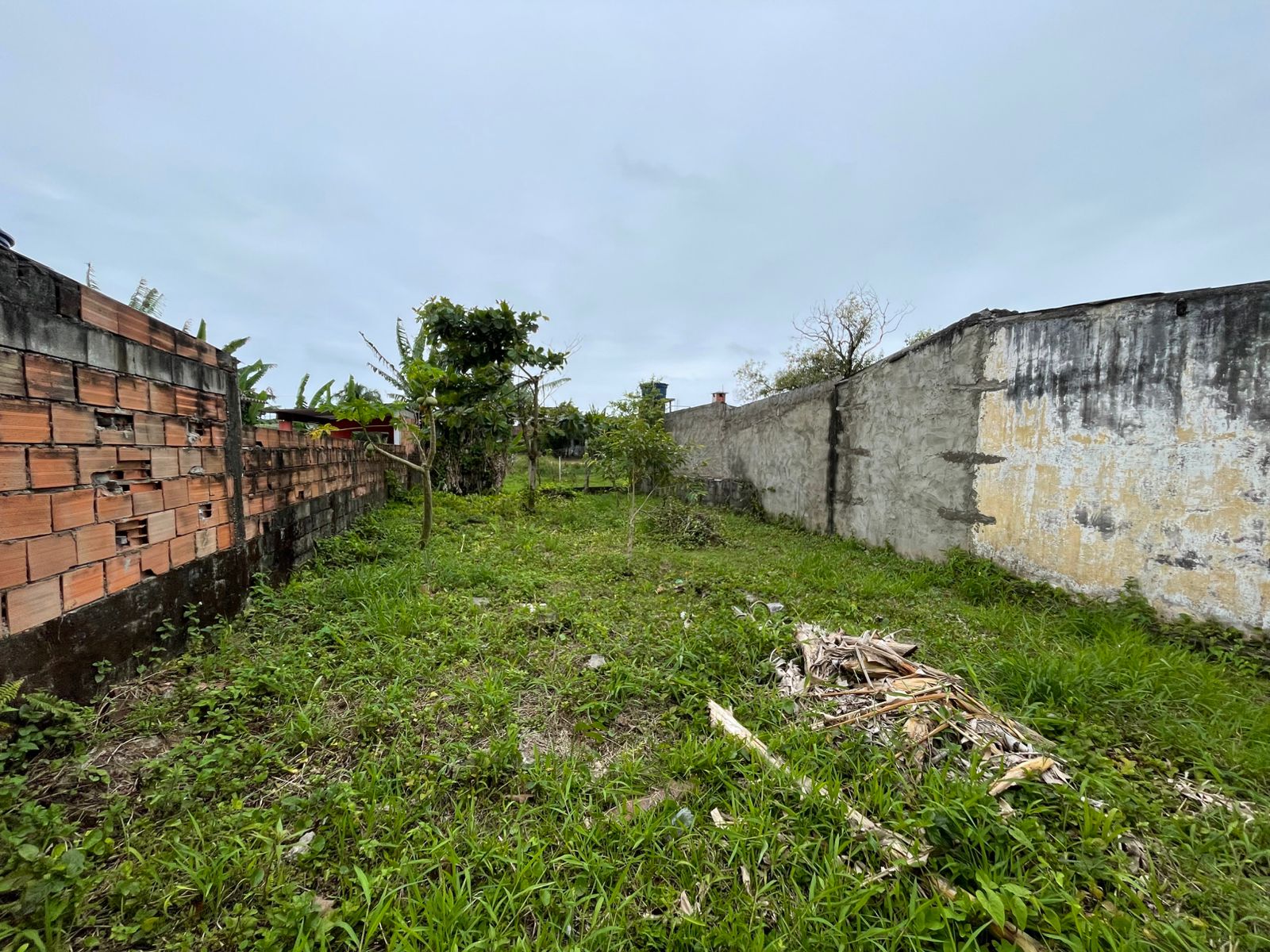 TERRENO NO JD. DAS PALMEIRAS / ITANHAÉM - LADO PRAIA - 1.000 METROS DO MAR - foto 3