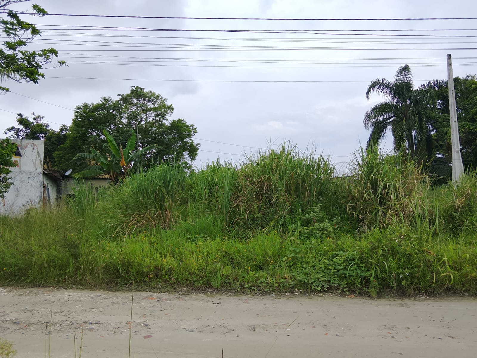 TERRENO NO JD DAS PALMEIRAS - ITANHAÉM - LADO PRAIA - 1.400 METROS DO MAR - foto 6