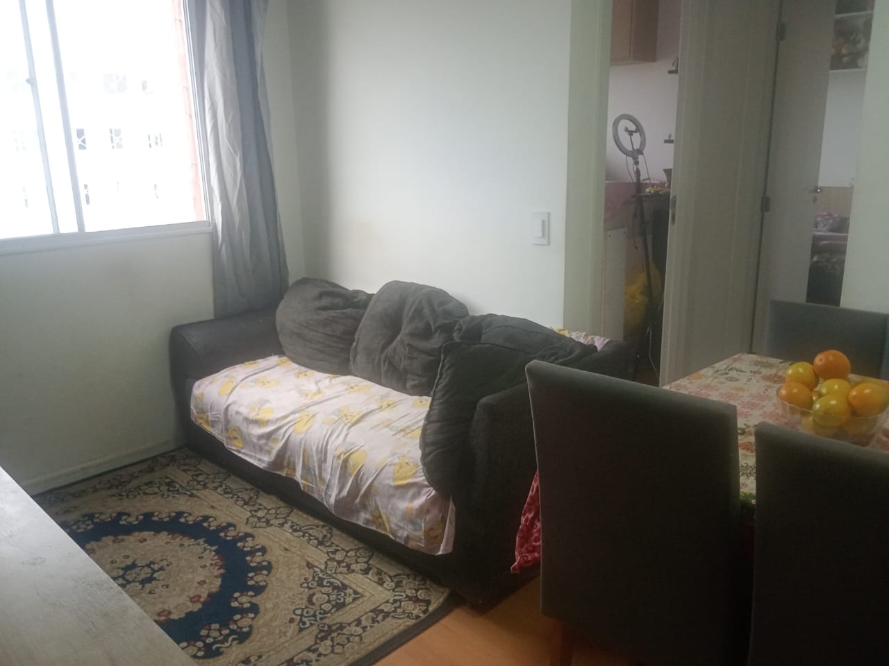APARTAMENTO NO BAIRRO IPIRANGA - CENTRO - SÃO PAULO  - foto 9