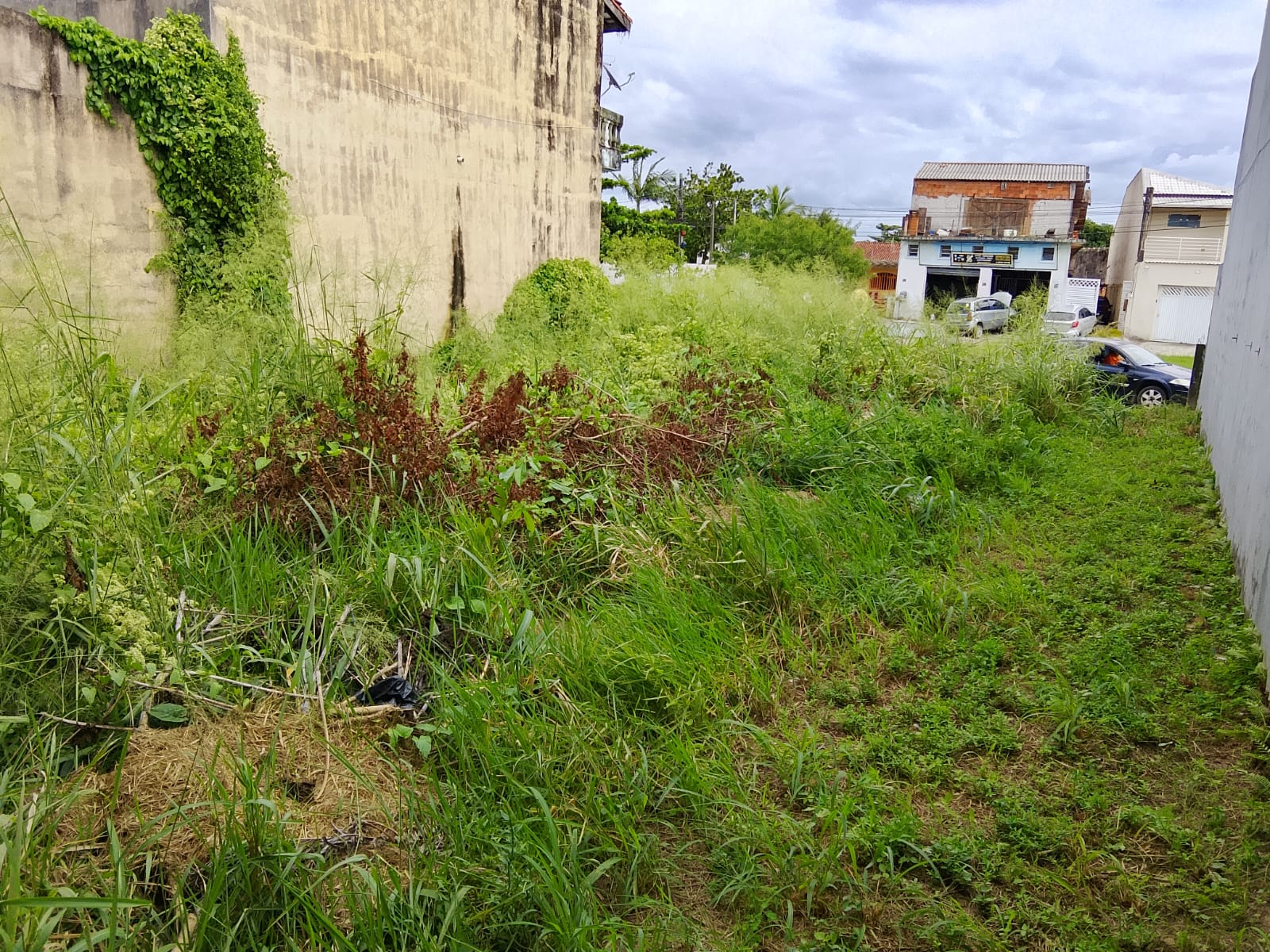 TERRENO COMERCIAL NO JD. DAS PALMEIRAS 2 - ITANHAÉM - LADO PRAIA 500 METROS DO MAR - foto 5
