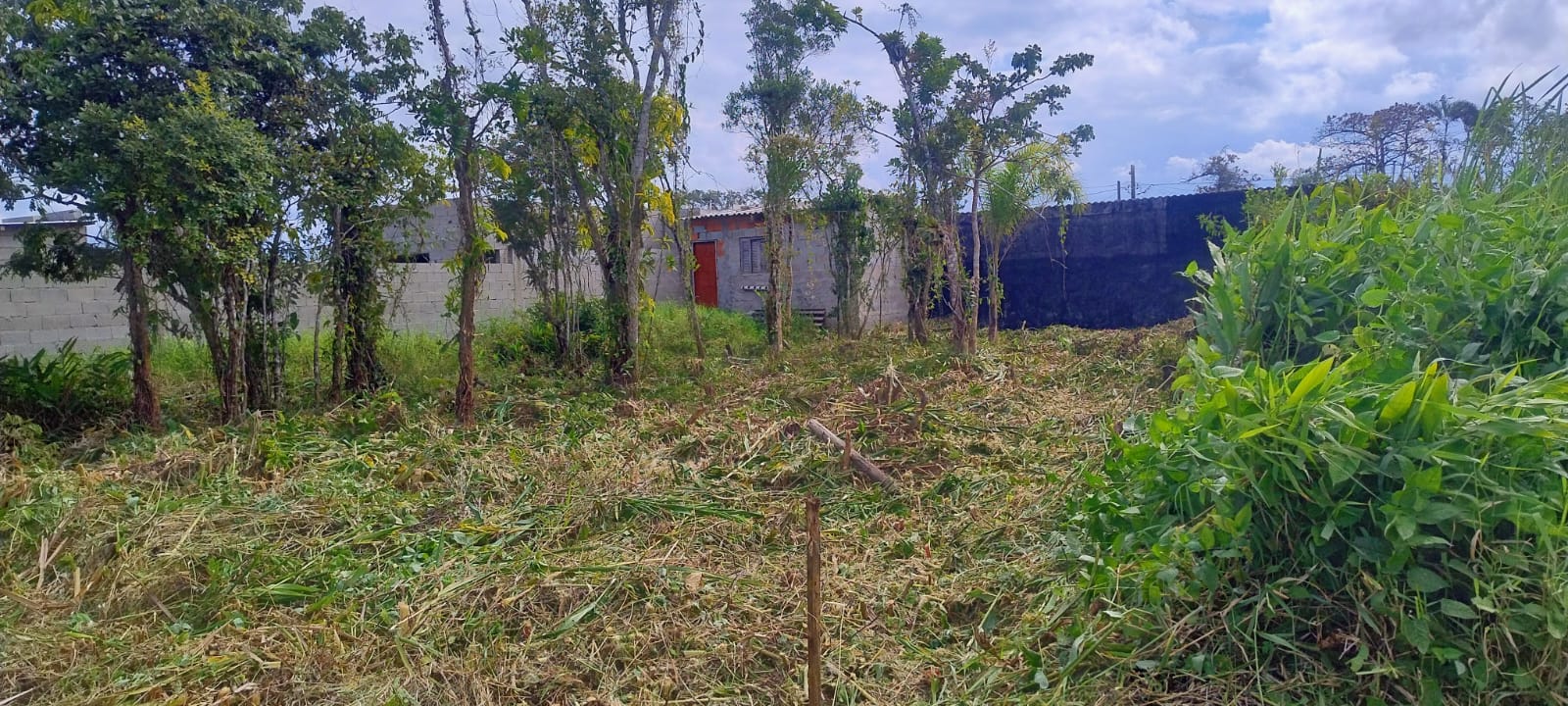 TERRENO NO LUIZAMAR MIRIM - ITANHAÉM - LADO MORRO - 350 METROS DA RODOVIARIA - foto 2