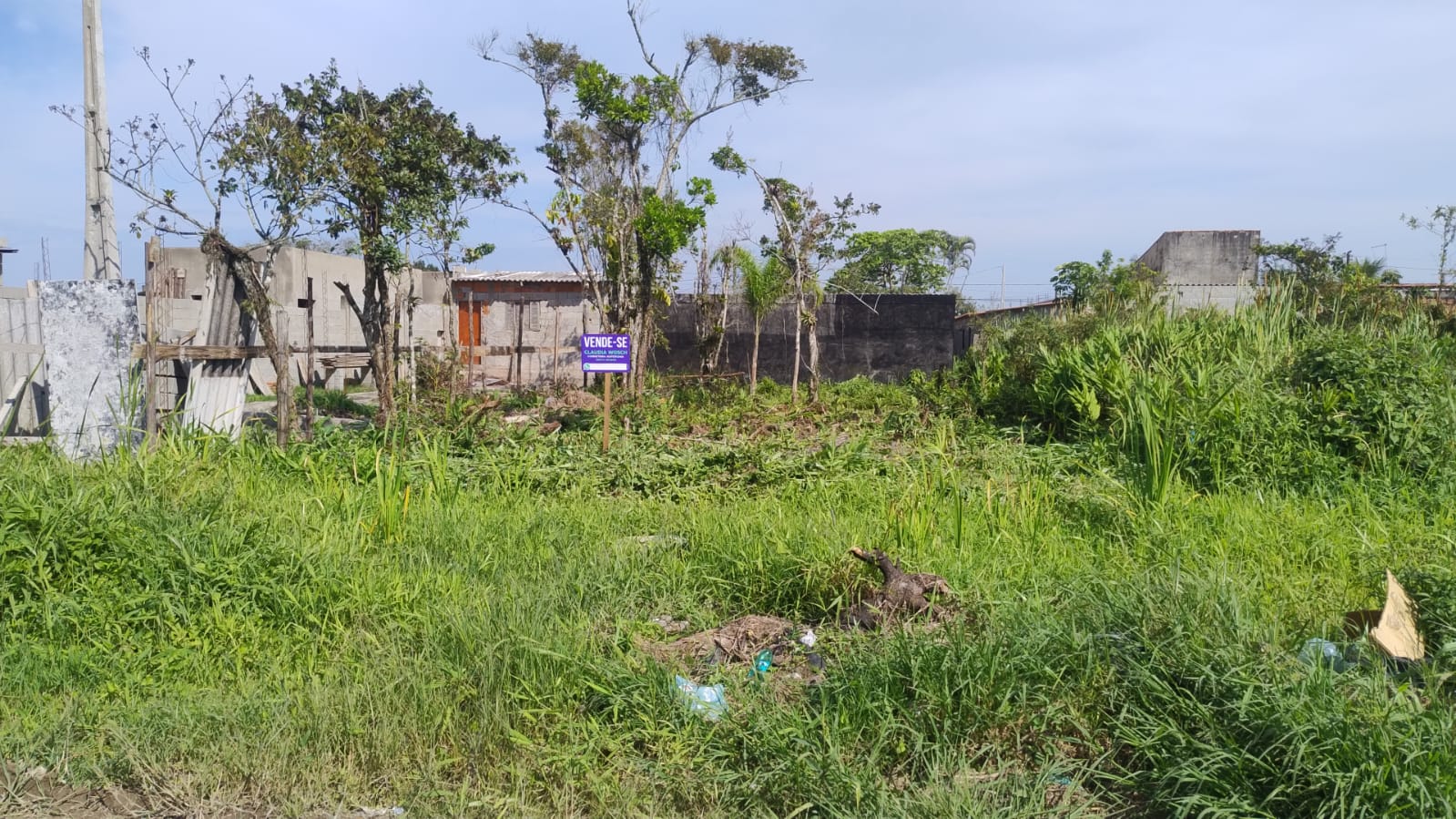 TERRENO NO LUIZAMAR MIRIM - ITANHAÉM - LADO MORRO - 350 METROS DA RODOVIARIA - foto 7