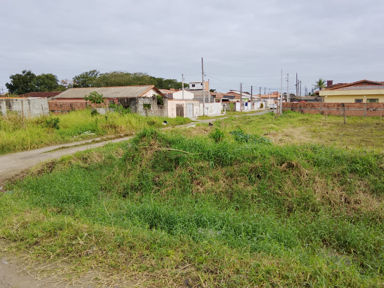 TERRENO COM LICENÇA AMBIENTAL - NO BALNEÁRIO TUPY - LADO PRAIA - 1.200 METROS DO MAR -  ITANHAÉM  - foto 9