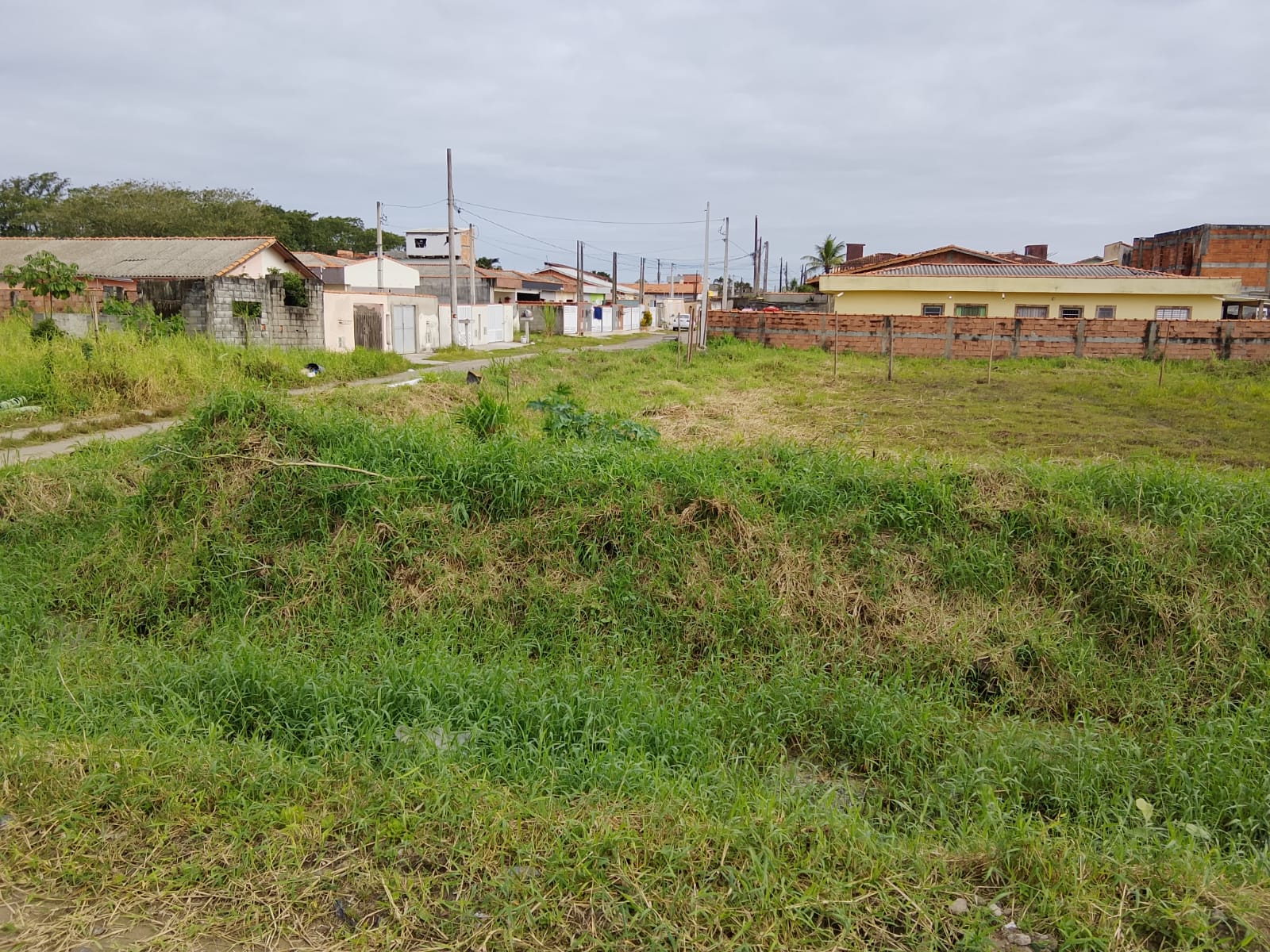 TERRENO COM LICENÇA AMBIENTAL - NO BALNEÁRIO TUPY - LADO PRAIA - 1.200 METROS DO MAR -  ITANHAÉM  - foto 11