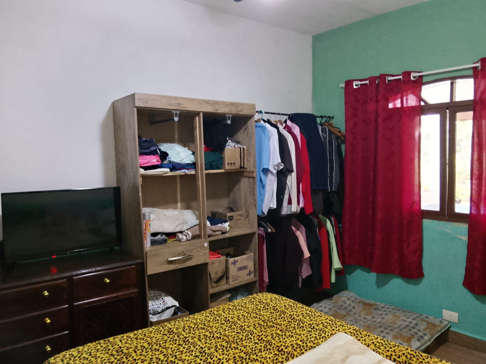 CHÁCARA NO BALNEÁRIO GAIVOTA - ITANHAÉM - SP - LADO MORRO - 400 METROS DA RODOVIA - foto 18