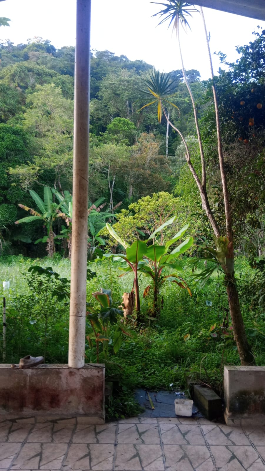 CHÁCARA NO JARDIM AGUAPEU - ITANHAÉM/SP - foto 4